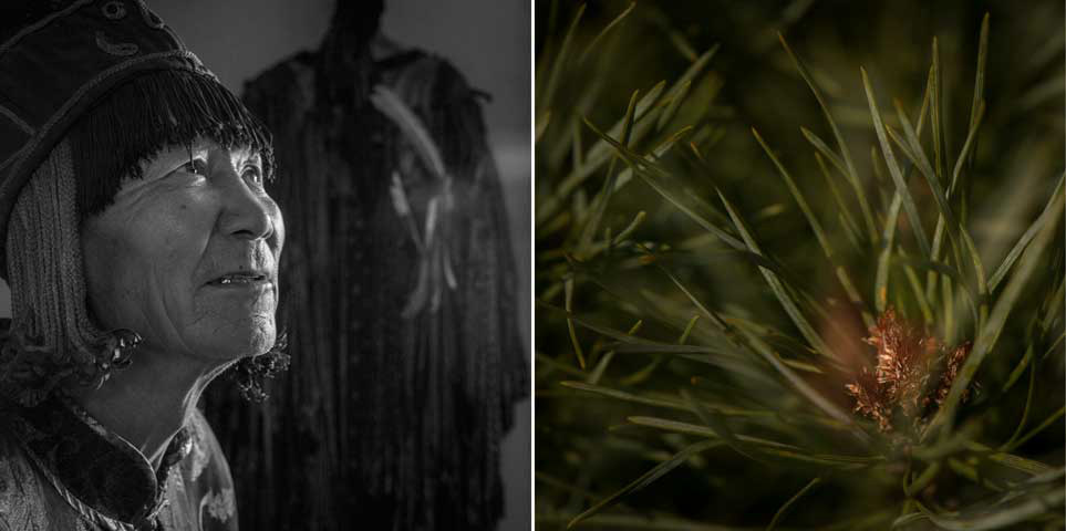 © Caroline Alida – Hearing songs in pine trees