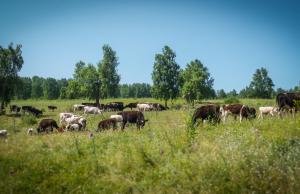 Uitbundige natuur