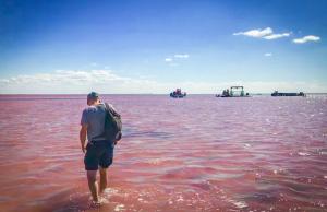 Het roze meer van Boersol