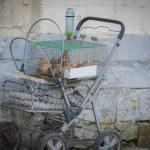 Je kan een centje doneren voor de kwartels of hun eitjes kopen Je kan een centje doneren voor de kwartels of hun eitjes kopen