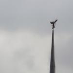 Svjato-Troitskij Novo-Goloetvinskij vrouwenklooster Svjato-Troitskij Novo-Goloetvinskij vrouwenklooster