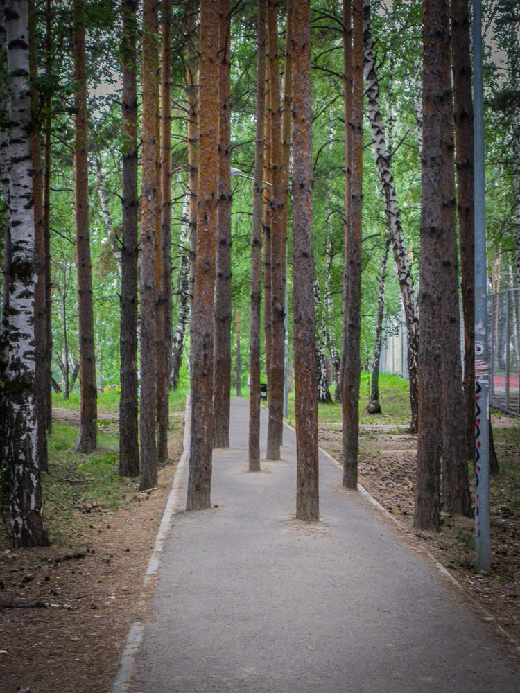 Verhard pad in het bos. Zelfs in Rusland vind je Belgische oplossingen